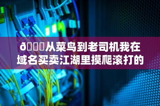 🌐从菜鸟到老司机我在域名买卖江湖里摸爬滚打的暴富与避坑指南