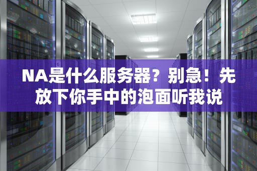 NA是什么服务器？别急！先放下你手中的泡面听我说