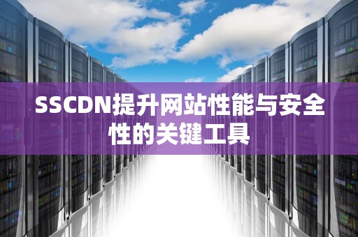 SSCDN提升网站性能与安全性的关键工具
