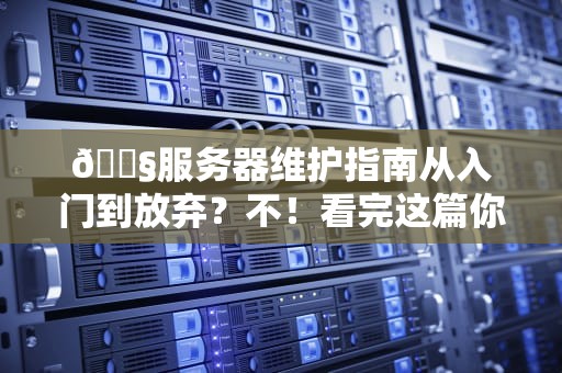🔧服务器维护指南从入门到放弃？不！看完这篇你也能当机房扫地僧🔧