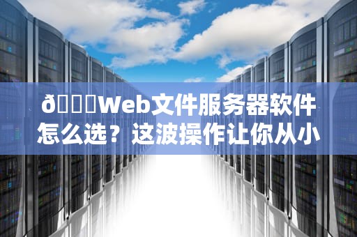 📂Web文件服务器软件怎么选？这波操作让你从小白秒变老司机