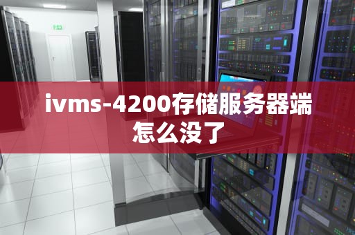 ivms-4200存储服务器端怎么没了