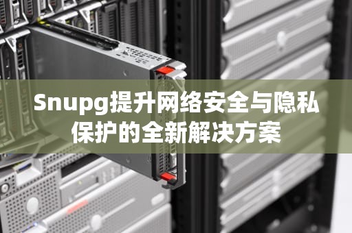 Snupg提升网络安全与隐私保护的全新解决方案