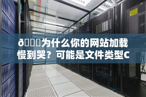 📚为什么你的网站加载慢到哭？可能是文件类型CDN在偷偷摸鱼！