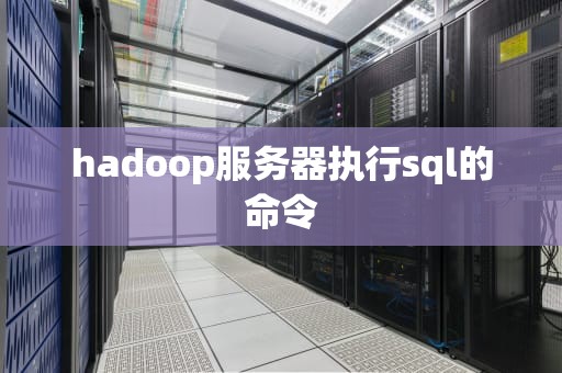 hadoop服务器执行sql的命令