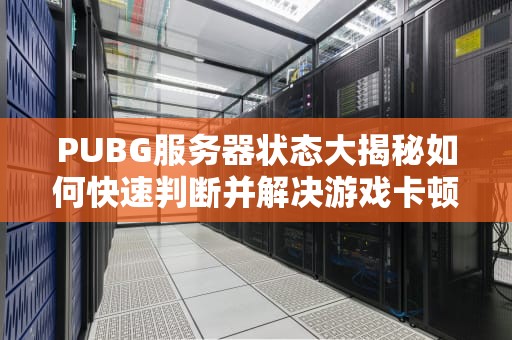 PUBG服务器状态大揭秘如何快速判断并解决游戏卡顿问题？