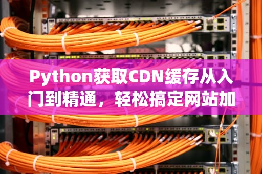 Python获取CDN缓存从入门到精通，轻松搞定网站加速优化