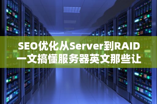 SEO优化从Server到RAID一文搞懂服务器英文那些让你挠头的专业术语！