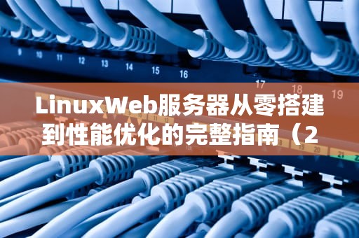 LinuxWeb服务器从零搭建到性能优化的完整指南（2024新版）