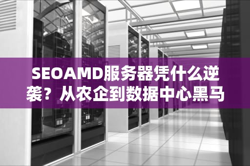 SEOAMD服务器凭什么逆袭？从农企到数据中心黑马的三大杀手锏