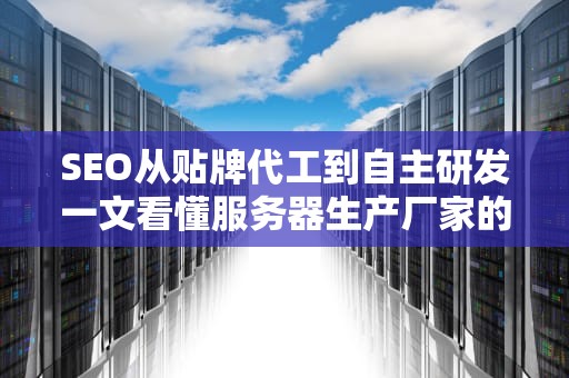 SEO从贴牌代工到自主研发一文看懂服务器生产厂家的江湖风云