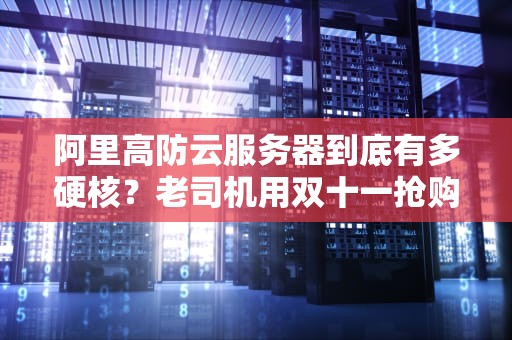 阿里高防云服务器到底有多硬核？老司机用双十一抢购给你打个比方