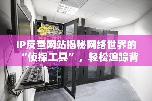 IP反查网站揭秘网络世界的“侦探工具”，轻松追踪背后的真相！