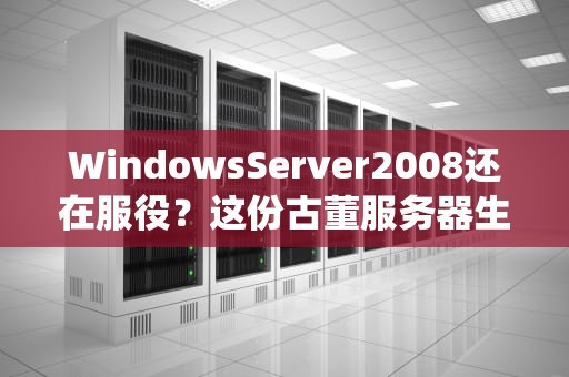 WindowsServer2008还在服役？这份古董服务器生存指南请收好