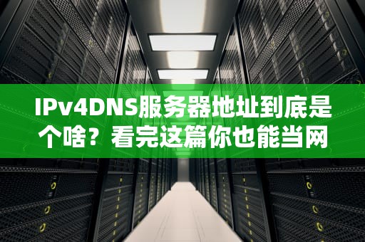 IPv4DNS服务器地址到底是个啥？看完这篇你也能当网络小灵通！