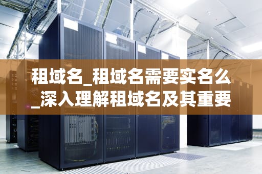 租域名_租域名需要实名么_深入理解租域名及其重要性