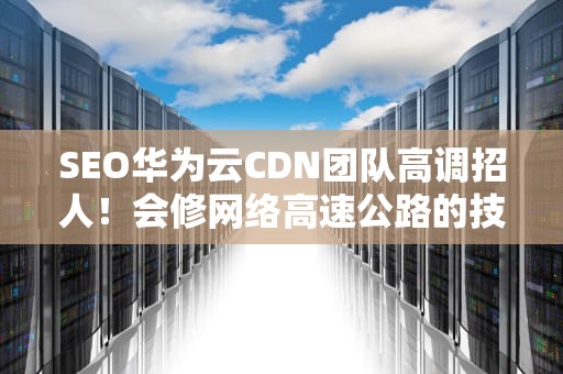 SEO华为云CDN团队高调招人！会修网络高速公路的技术大牛都在学什么？