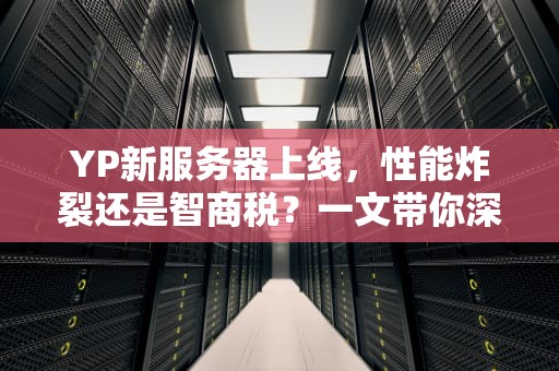 YP新服务器上线，性能炸裂还是智商税？一文带你深度解析