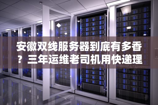 安徽双线服务器到底有多香？三年运维老司机用快递理论给你整明白了！