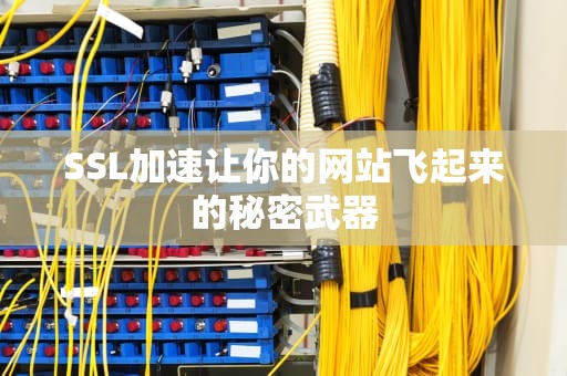 SSL加速让你的网站飞起来的秘密武器