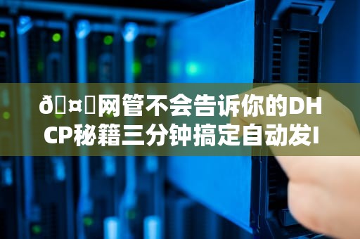 🤖网管不会告诉你的DHCP秘籍三分钟搞定自动发IP的保姆级教程🤖