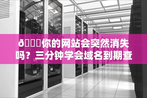 🌐你的网站会突然消失吗？三分钟学会域名到期查询的防身术