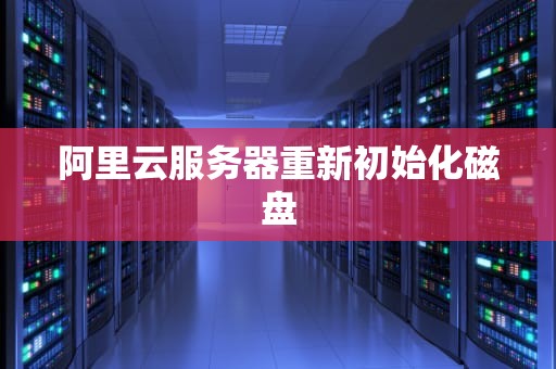 阿里云服务器重新初始化磁盘