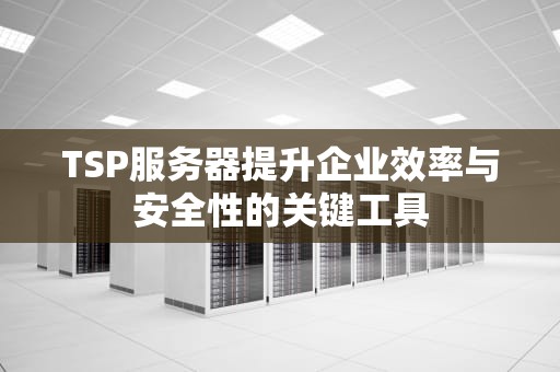 TSP服务器提升企业效率与安全性的关键工具