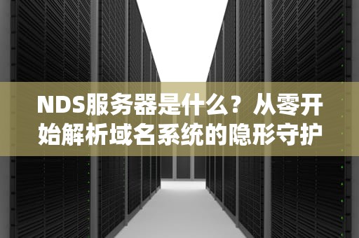 NDS服务器是什么？从零开始解析域名系统的隐形守护者