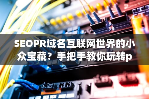 SEOPR域名互联网世界的小众宝藏？手把手教你玩转pr域名的商业价值与技术门道