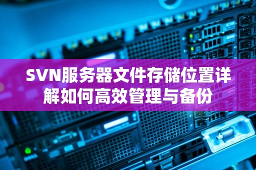 SVN服务器文件存储位置详解如何高效管理与备份
