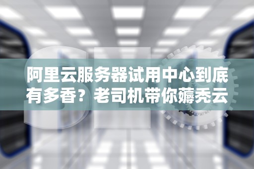 阿里云服务器试用中心到底有多香？老司机带你薅秃云计算羊毛！