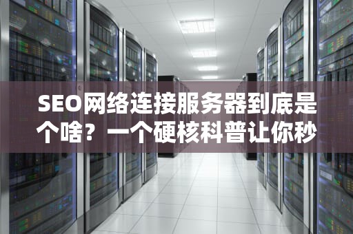 SEO网络连接服务器到底是个啥？一个硬核科普让你秒懂上网背后的男人！