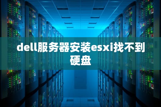dell服务器安装esxi找不到硬盘