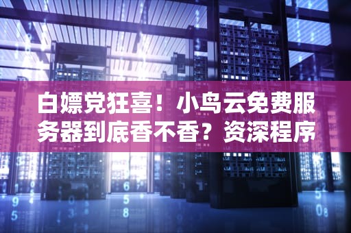 白嫖党狂喜！小鸟云免费服务器到底香不香？资深程序员亲测吐槽