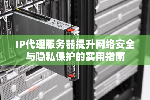 IP代理服务器提升网络安全与隐私保护的实用指南