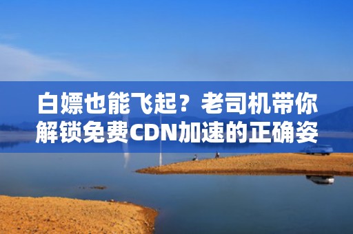 白嫖也能飞起？老司机带你解锁免费CDN加速的正确姿势（附翻车预警）