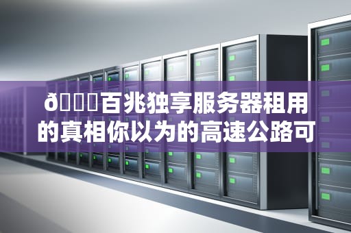 🚀百兆独享服务器租用的真相你以为的高速公路可能是假匝道？🚀