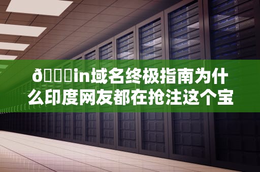🔍in域名终极指南为什么印度网友都在抢注这个宝莱坞同款后缀？