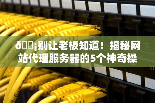 📡别让老板知道！揭秘网站代理服务器的5个神奇操作——从摸鱼到年薪百万都靠它？