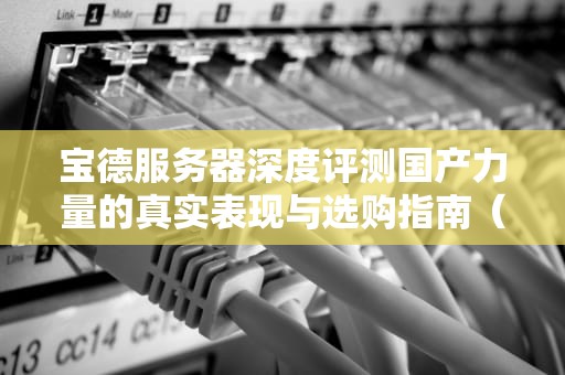 宝德服务器深度评测国产力量的真实表现与选购指南（附避坑建议）