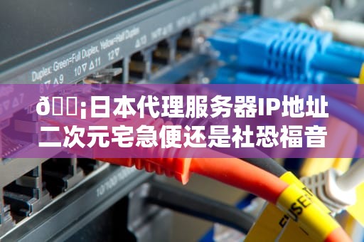 📡日本代理服务器IP地址二次元宅急便还是社恐福音？资深老司机带你飙车