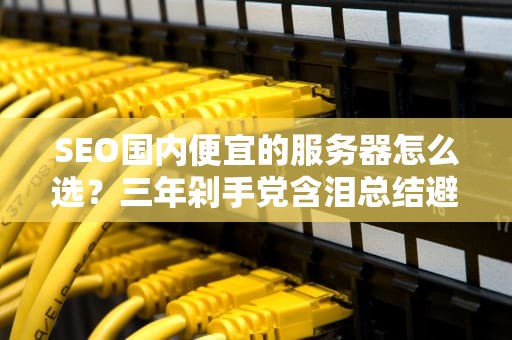 SEO国内便宜的服务器怎么选？三年剁手党含泪总结避坑指南+薅羊毛攻略