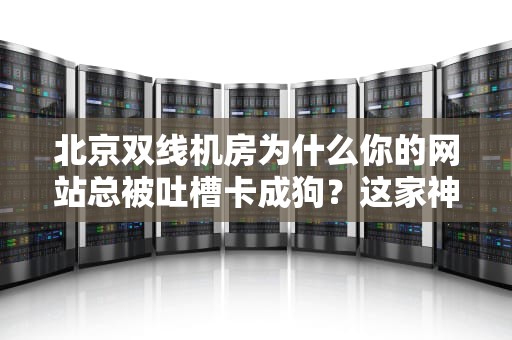 北京双线机房为什么你的网站总被吐槽卡成狗？这家神秘机构能治！