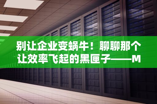 别让企业变蜗牛！聊聊那个让效率飞起的黑匣子——MAS服务器