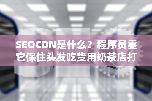 SEOCDN是什么？程序员靠它保住头发吃货用奶茶店打比方包你看完秒懂！