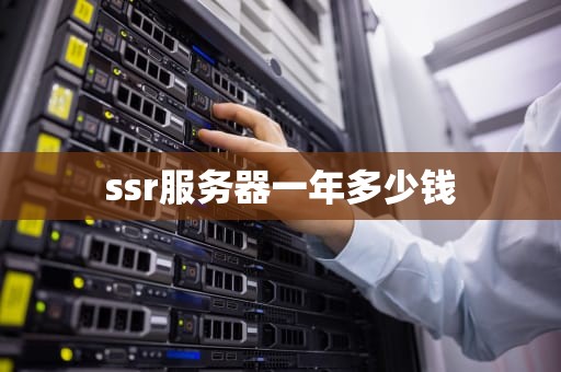 ssr服务器一年多少钱