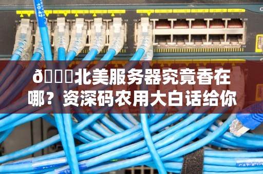 🔍北美服务器究竟香在哪？资深码农用大白话给你盘明白🔍