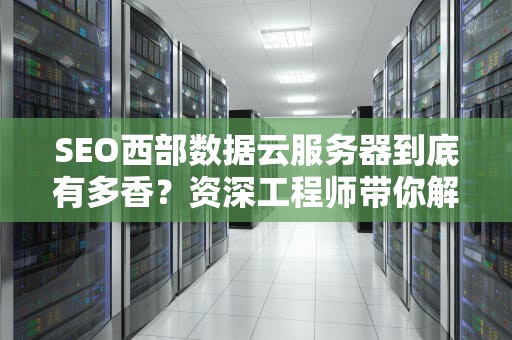 SEO西部数据云服务器到底有多香？资深工程师带你解锁硬核存储黑科技！