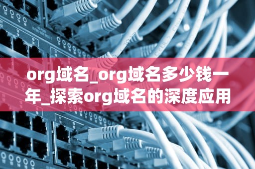 org域名_org域名多少钱一年_探索org域名的深度应用与价值